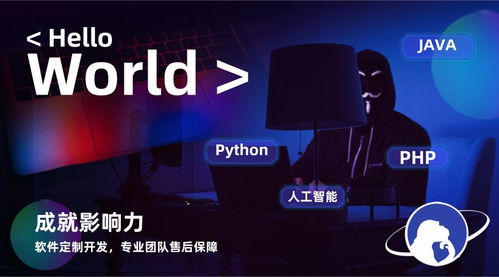 系统定制开发