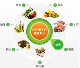 农产品追溯系统定制开发 保障食品安全与提升市场竞争力