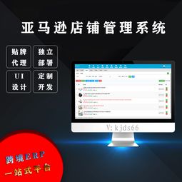 亚马逊ERP管理系统在无货源店群运营中的应用与定制开发