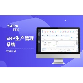 ERP软件定制开发 源码开发、快速上线与系统定制服务