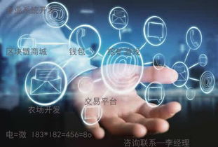 趣步系统定制与软件系统定制开发 专业解决方案与应用前景